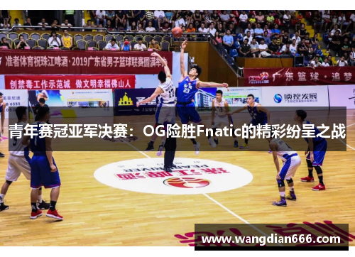 青年赛冠亚军决赛：OG险胜Fnatic的精彩纷呈之战