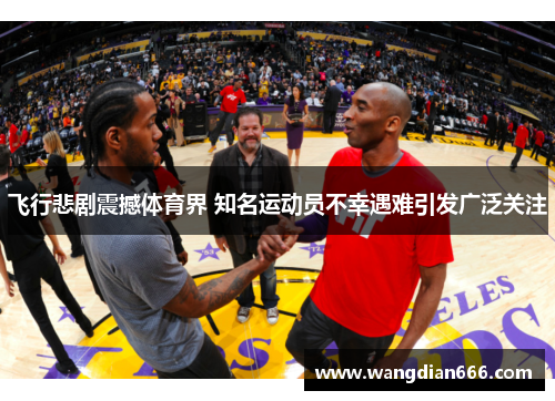 飞行悲剧震撼体育界 知名运动员不幸遇难引发广泛关注