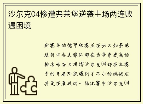沙尔克04惨遭弗莱堡逆袭主场两连败遇困境