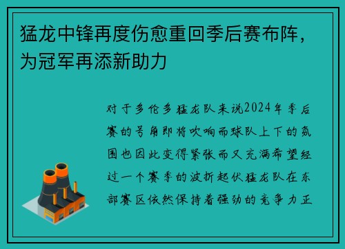 猛龙中锋再度伤愈重回季后赛布阵，为冠军再添新助力